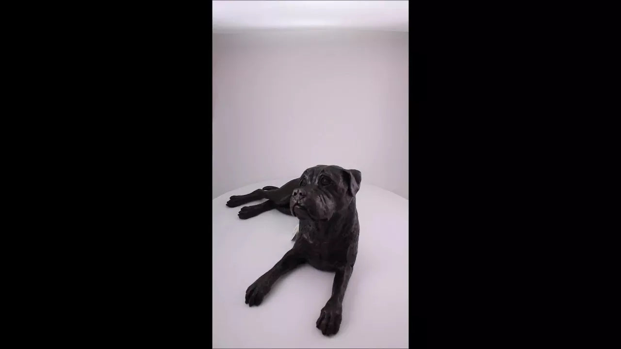 Produktvideo Kunstharzurne Boxer