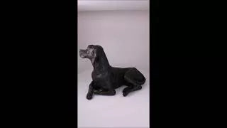 Produktvideo Skulptur-Tierurne Pointer
