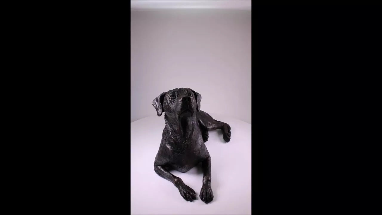 Produktvideo Kunstharzurne Rhodesian Ridgeback