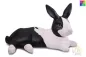Mobile Preview: Tierurne Kaninchen Gesamtübersicht