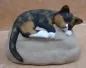Mobile Preview: Katze auf Stein gestaltet
