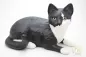 Mobile Preview: Katzenurne 1,7 Liter, Beispiel bemalt nach Fotovorlage