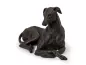 Preview: Kunstharzurne Greyhound Windhund-Skulptur