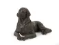 Mobile Preview: Kunstharzurne Rottweiler-Skulptur