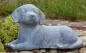 Preview: Tierurne Hund draußen liegend blaugrau