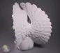Preview: Tierurne Engel Putte, Flügel rechts, Ansicht von hinten Preview: Tierurne Engel Putte, Flügel rechts, Ansicht von hinten