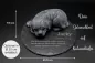 Preview: Gedenkplatte Hund aus Natursteinschiefer, Steinguß-Hund in grau, Gravur-Beispiel und Maßangaben