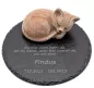 Preview: Gedenkplatte Katze aus Natursteinschiefer, Steinguß-Katze in terrakotta und Gravur-Beispiel