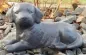 Mobile Preview: Tierurne Hund liegend grau-schwarz