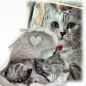 Preview: Tierurne Katze in Engelsflügel nach Fotovorlage bemalt, Flügel hellgrau, Herz silberfarben Preview: Tierurne Katze in Engelsflügel nach Fotovorlage bemalt, Flügel hellgrau, Herz silberfarben