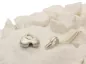 Preview: Ascheschmuck-Herzkette „Emmi“ mit Hufeisen-Motiv aus 925er Sterling-Silber, Anhänger geöffnet Preview: Ascheschmuck-Herzkette „Emmi“ mit Hufeisen-Motiv aus 925er Sterling-Silber, Anhänger geöffnet