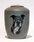 Preview: Portraiturne Grundfarbe dunkelgrau Hund in Standardausführung