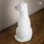 Preview: Tierurne Hund Keramik in weiß Ansicht hinten Preview: Tierurne Hund Keramik in weiß Ansicht hinten