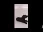 Preview: Produktvideo Kunstharzurne Labrador-Skulptur mit Knochen, 2,4 Liter