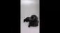 Preview: Produktvideo Kunstharzurne Dackel-Skulptur Langhaardackel Preview: Produktvideo Kunstharzurne Dackel-Skulptur Langhaardackel