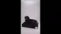 Preview: Produktvideo Kunstharzurne Golden Retriever-Skulptur auf Sockel Preview: Produktvideo Kunstharzurne Golden Retriever-Skulptur auf Sockel