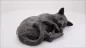 Preview: Produktvideo Katzenurne ruhende Katze