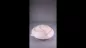 Preview: Produktvideo Tierurne Diskus 1,5 Liter creme Preview: Produktvideo Tierurne Diskus 1,5 Liter creme