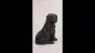 Preview: Produktvideo Kunstharzurne Shih Tzu-Skulptur Preview: Produktvideo Kunstharzurne Shih Tzu-Skulptur