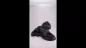 Preview: Produktvideo Kunstharzurne Cockapoo-Skulptur Preview: Produktvideo Kunstharzurne Cockapoo-Skulptur