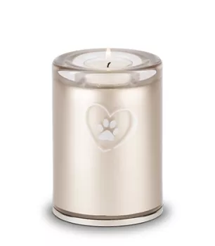 Tierurne aus Glas, Herz-Pfote, Gedenklicht, versch. Farben und Größen