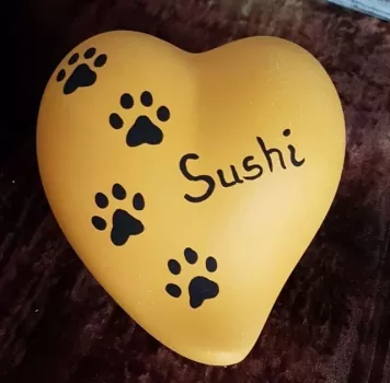 Handbemalung Beispiel Sushi + 4 Pfötchen