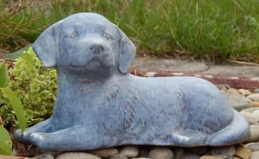 Tierurne Hund draußen liegend blaugrau