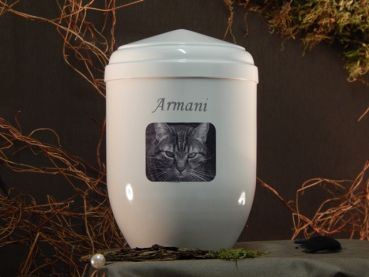 Preview: Beispiel Transferbild eckig auf Urne, deren Art.Nr. mit 801 beginnt