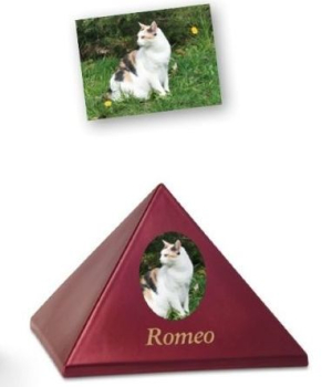 Preview: Transferbild oval Beispiel Katze auf Urne, deren Art.Nr. mit 804 oder 833 beginnt