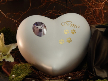 Preview: Transferbild (für Artikel 801.../804.../833...)