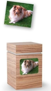 Preview: Transferbild rechteckig mit abgerundeten Ecken auf Urne, deren Art.Nr. mit 804 oder 833 beginnt