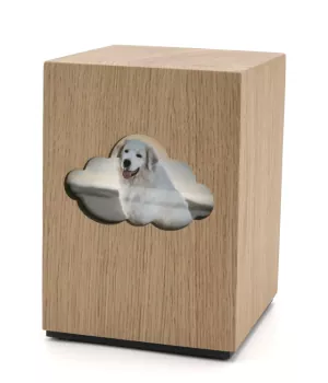 Tierurne Adhara mit Ausschnitt Wolke