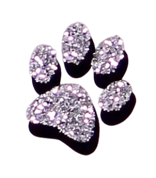 Preview: Beispiel einer Pfote als Folienbeschriftung Glitzer-Schatteneffekt in silber, Schatten schwarz