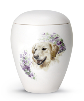 Preview: Motiv Golden Retriever