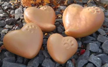 Tierurne Herz mit Pfote sand, 4 Größen