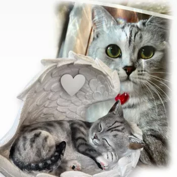 Tierurne Katze in Engelsflügel nach Fotovorlage bemalt, Flügel hellgrau, Herz silberfarben