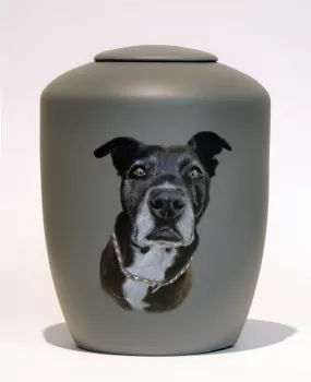Portraiturne Grundfarbe dunkelgrau Hund in Standardausführung