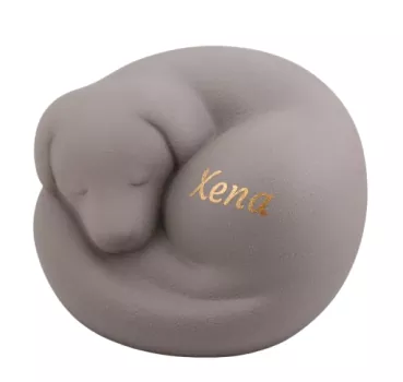Beispiel einer Folienbeschriftung Name Xena in goldfarben auf Art.Nr. 830023