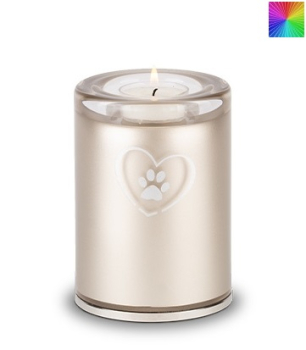 Preview: Tierurne aus Glas, Herz-Pfote, Gedenklicht, versch. Farben und Größen