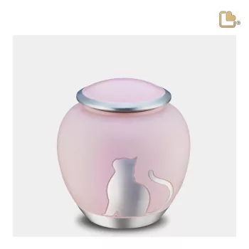 Katzenurne Metall pink, Schatten-Bild nach oben schauend