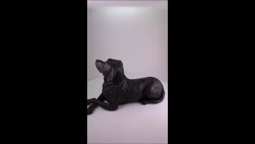 Produktvideo Kunstharzurne Labrador-Skulptur