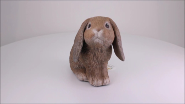 Preview: Produktvideo Urne für Kaninchen Widder nach Fotovorlage