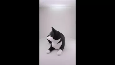 Produktvideo Katzenurne nach Fotovorlage