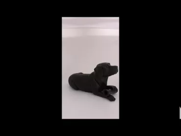 Produktvideo Kunstharzurne Labrador-Skulptur mit Knochen, 2,4 Liter