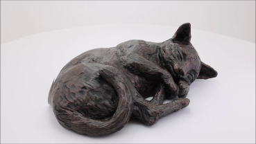 Preview: Produktvideo Katzenurne ruhende Katze