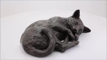 Produktvideo Katzenurne ruhende Katze