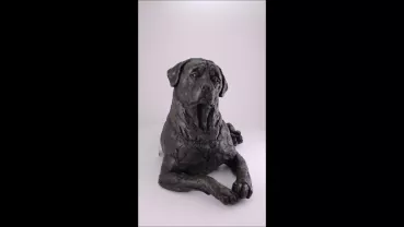 Produktvideo Kunstharzurne Rottweiler-Skulptur
