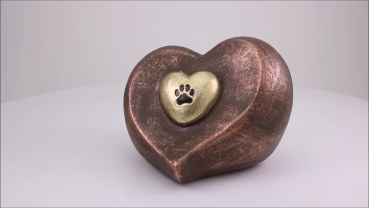 Preview: Produktvideo Herzurne Doppelherz mit Pfötchen 0,8 Liter bronze