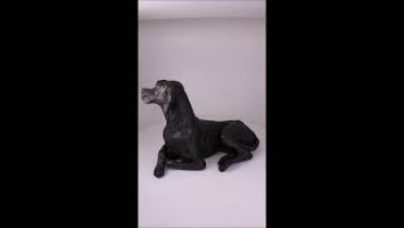 Preview: Produktvideo Skulptur-Tierurne Pointer