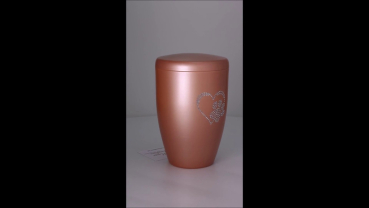 Preview: Produktvideo Tierurne mit Herz-Pfote-Kristall lachssilber 1,0 Liter